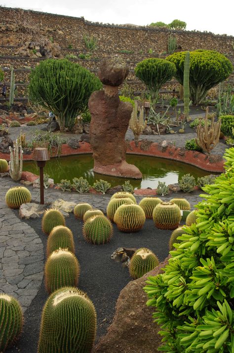 photo vu sur le jardin des cactus à lanzarote