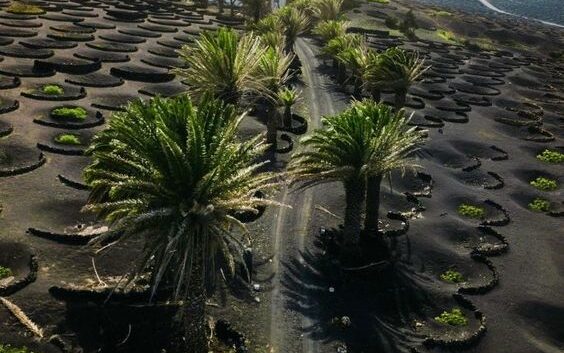 photo de lanzarote