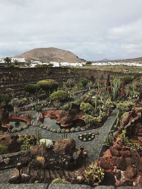 photo vu sur le jardin des cactus à lanzarote